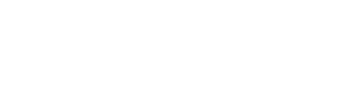 Bridge Public Strategy Group